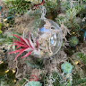 Meet your Posher, Maxwell